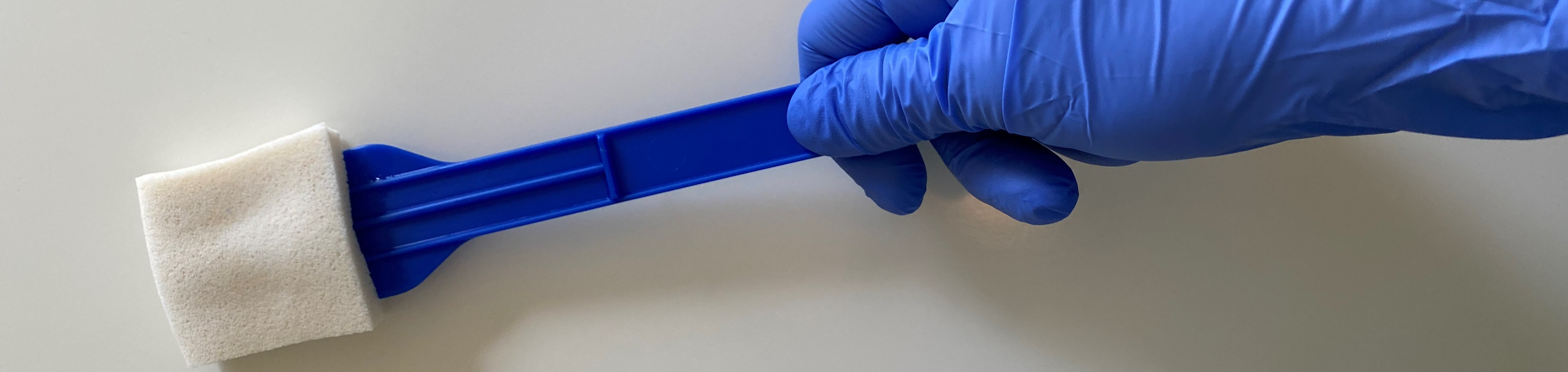 Environmental Monitoring Program (EMP)