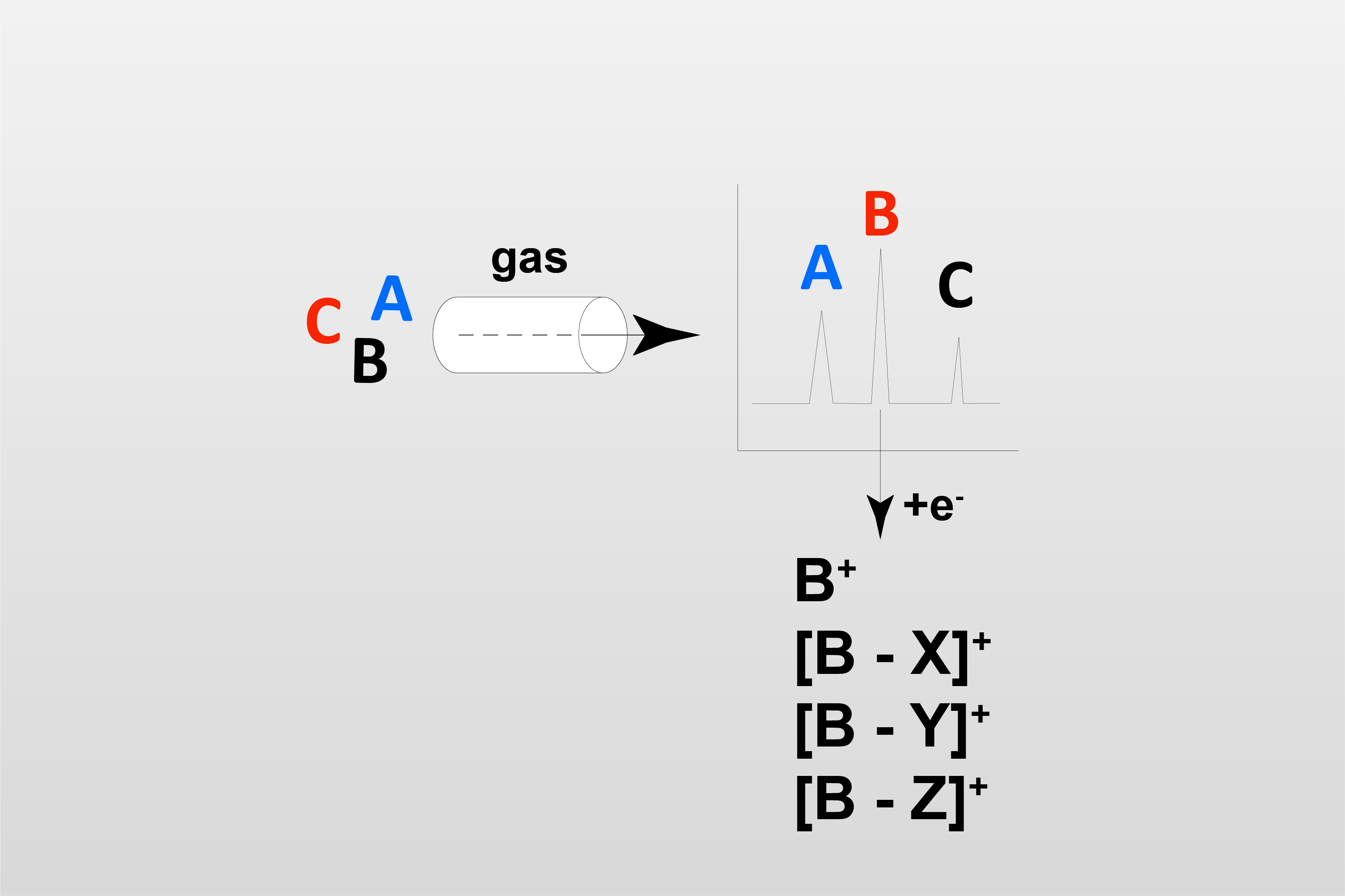 GC-MS(氣相色譜質譜)